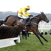 Azertyuiop, Arkle and Queen Mother Chase winner